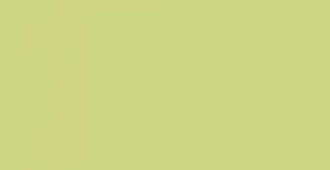 HPL panel 1016 Pistachio Slotex 1320×3050 / 1320×4200