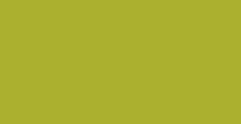 HPL panel 1067 Lime Slotex 1320×3050 / 1320×4200