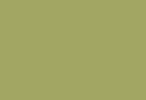 HPL panel 1300×3050 LM 0017 Pistachio