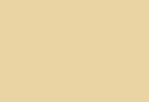 HPL panel 1300×3050 LM 0032 Peach