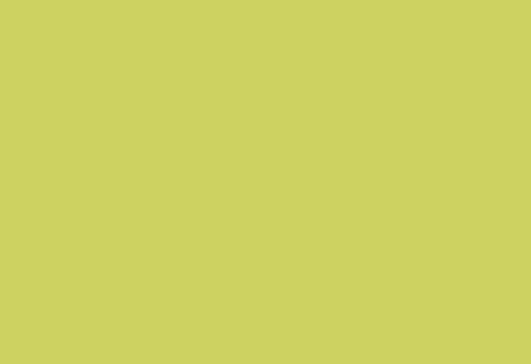 HPL panel 1300×3050 LM 0048 Light Green