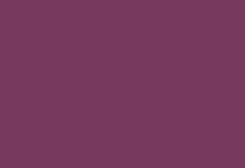 HPL panel 1300×3050 LM 0053 Viola
