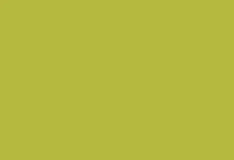 Interior HPL panel 1300×3050 mm LM 0016 Green-yellow lime