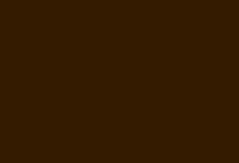 Interior HPL panel 1300×3050 mm LM 0025 Brown