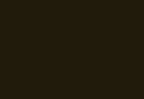 Interior HPL panel 1300×3050 mm LM 0062 Light brown