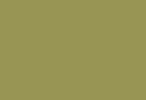 Clean room HPL panel 1300×3050 mm LM 0065 Tenero Green (Clean Room Overlay)