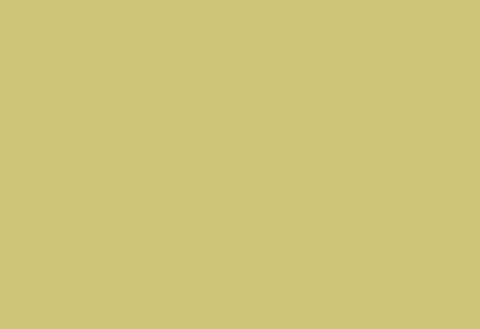 Clean room HPL panel 1300×3050 mm LM 0076 Peach (Clean Room Overlay)
