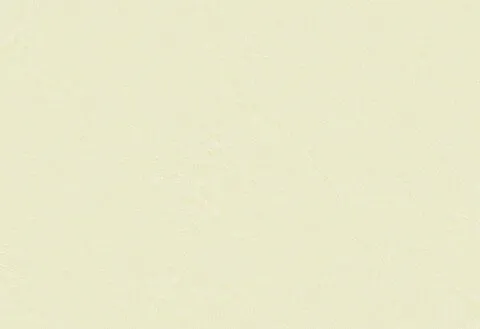 HPL-панель для чистых помещений 1300×3050 мм LM 0420 Белый доломит (Clean Room Overlay)