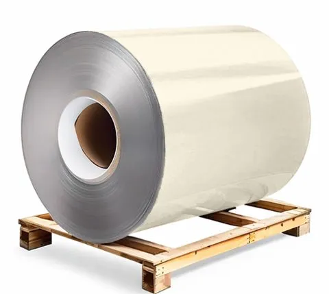 Galvanised steel 0.7×1250×3000 mm RAL 1013 Ivory, primer on reverse side / protective film